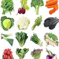 Vegetables